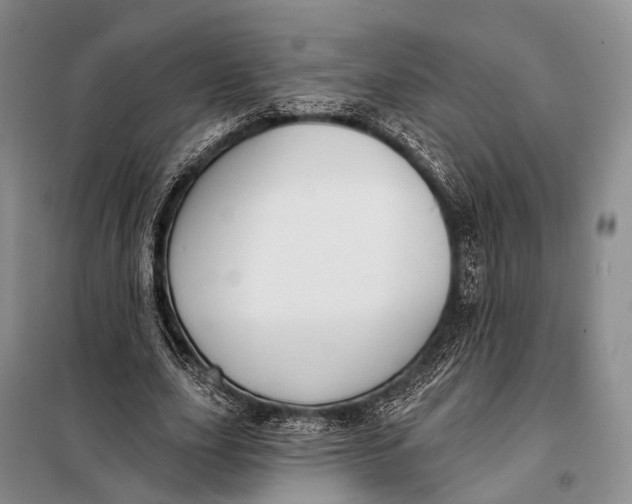 X0000098050631200804181324