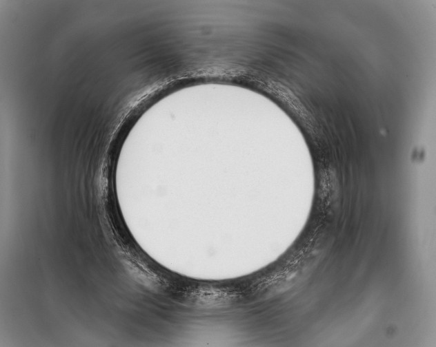 X0000098050632200804181324