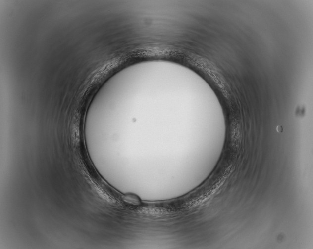 X0000098050633200804181324