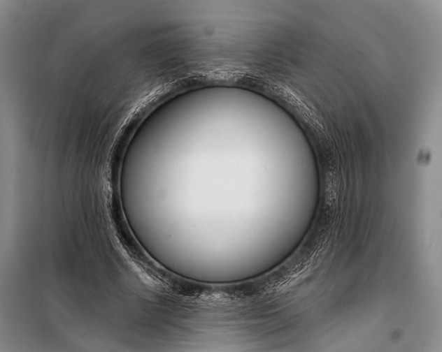 X0000098050634200804181324