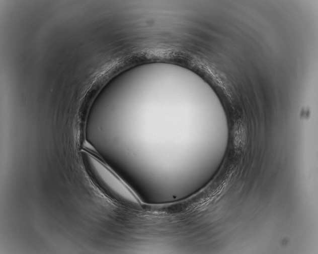 X0000098050637200804181324