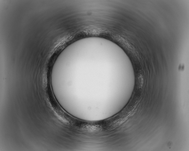 X0000098050638200804181324