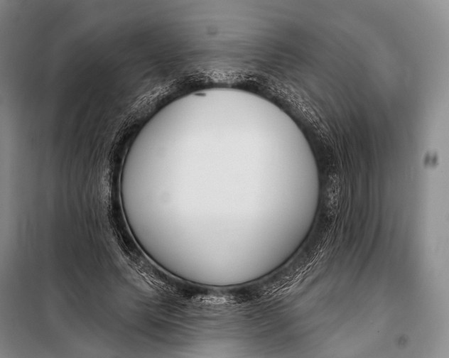 X0000098050639200804181324