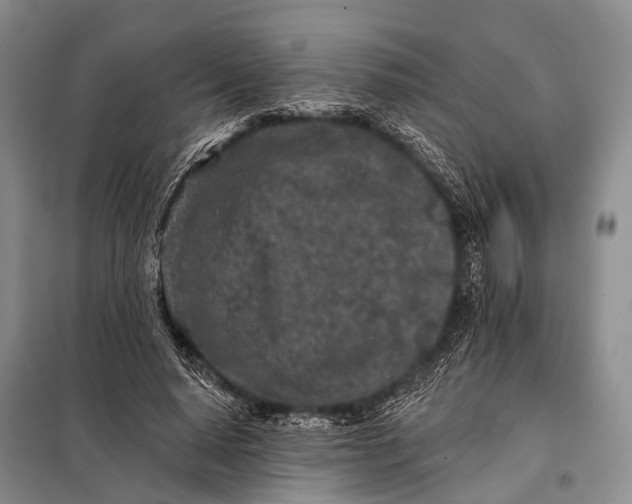 X0000098050640200804181324