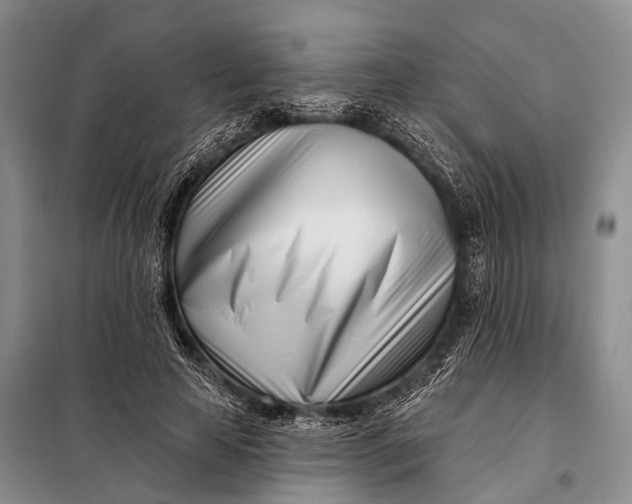 X0000098050641200804181324