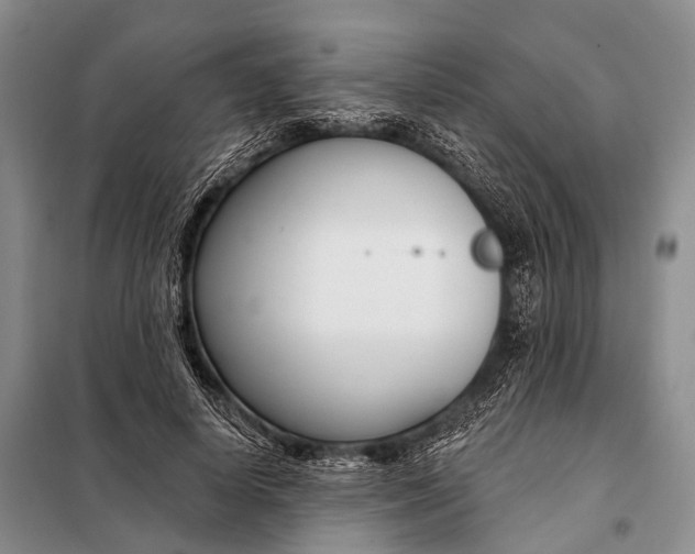 X0000098050642200804181324