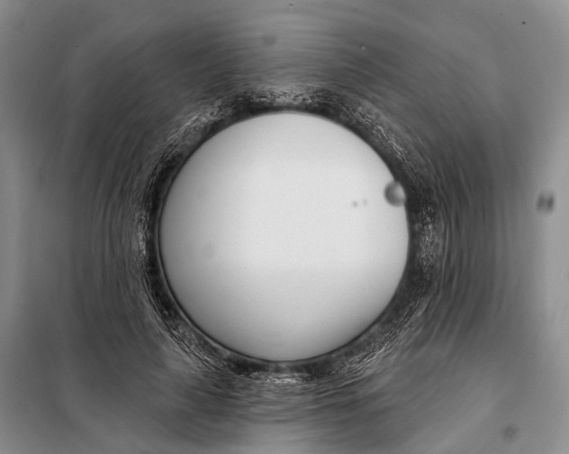 X0000098050643200804181324