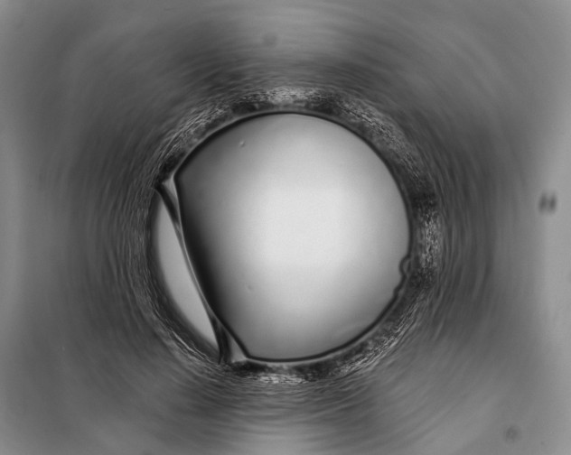 X0000098050644200804181324