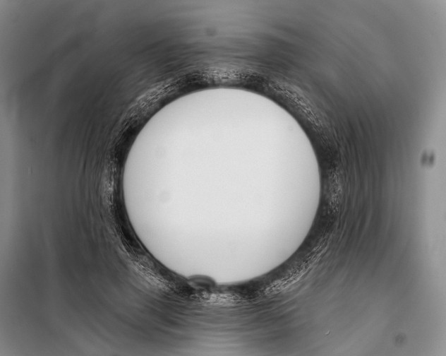 X0000098050645200804181325