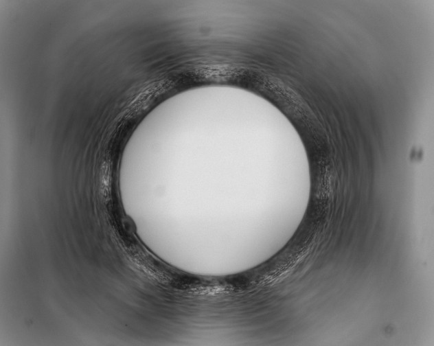 X0000098050646200804181325