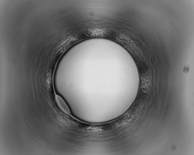 X0000098050648200804181325