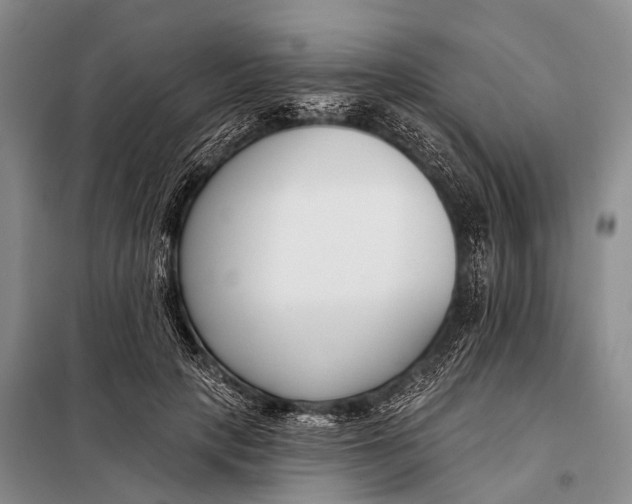 X0000098050649200804181325