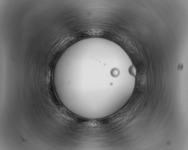 X0000098050652200804181325