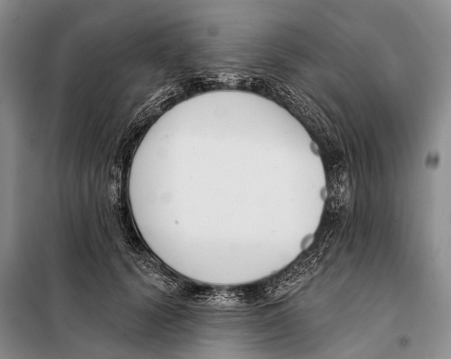 X0000098050656200804181325