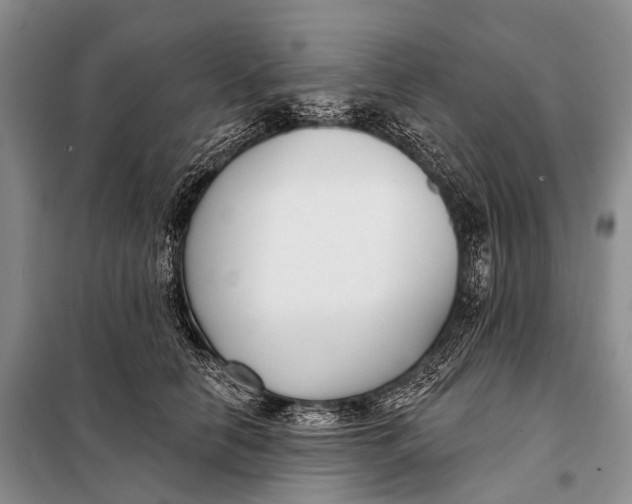 X0000098050658200804181325