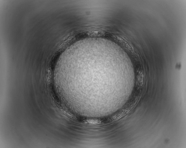 X0000098050659200804181325