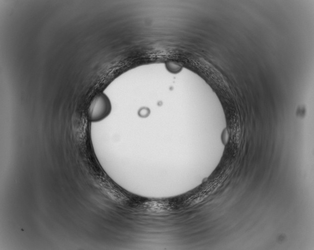 X0000098050660200804181325