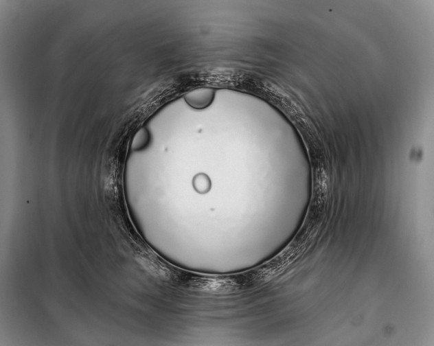 X0000098050663200804181325