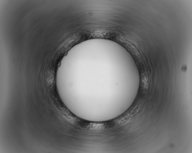 X0000098050665200804181325