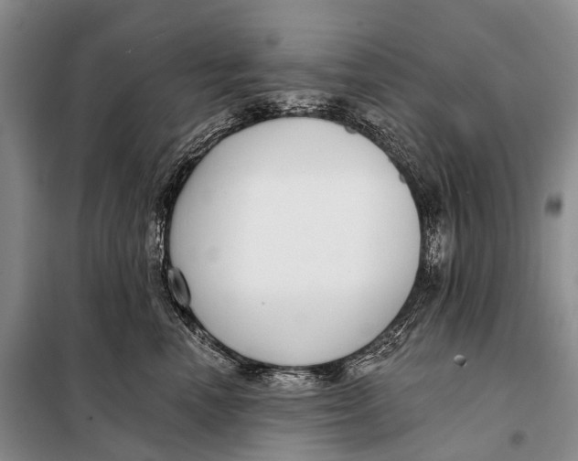 X0000098050666200804181325