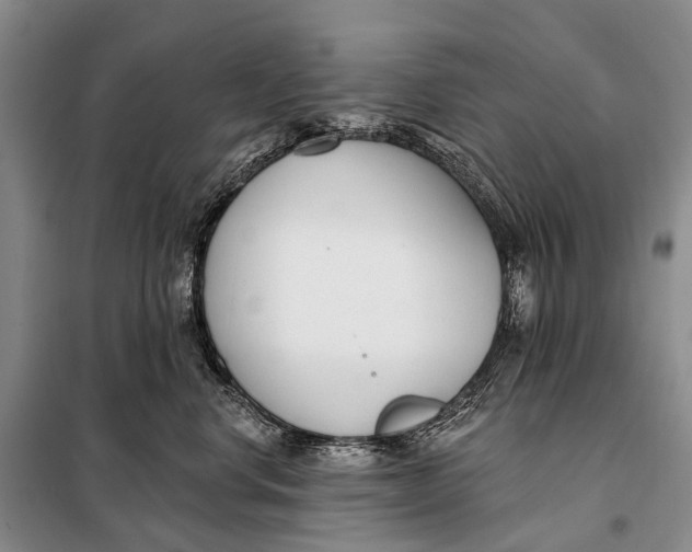 X0000098050668200804181325