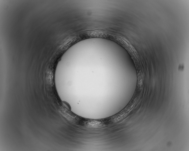 X0000098050669200804181325