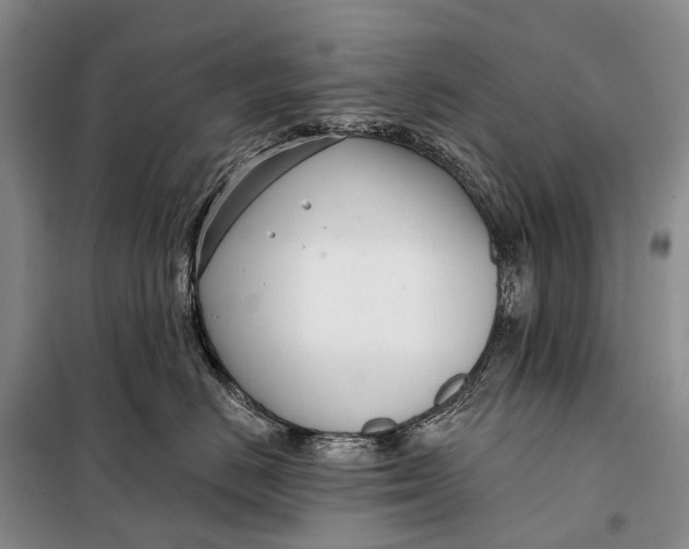 X0000098050670200804181325