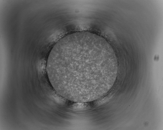 X0000098050672200804181325