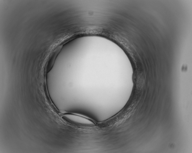 X0000098050673200804181324