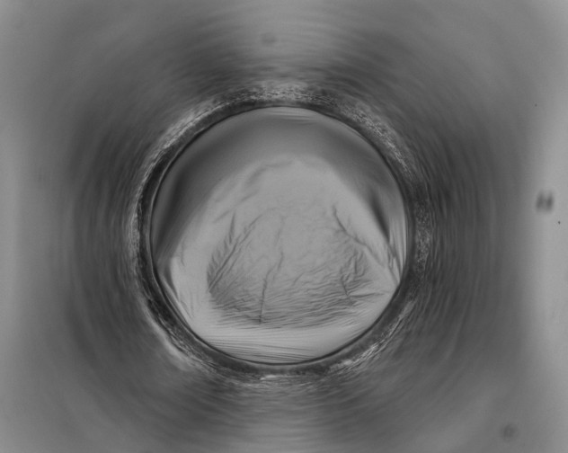 X0000098050674200804181324