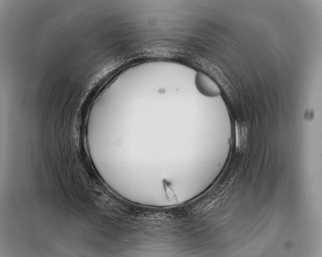 X0000098050675200804181324