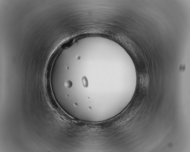 X0000098050676200804181324