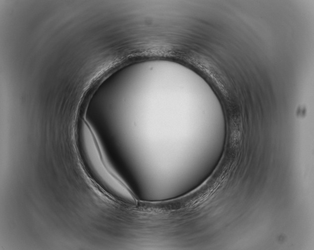 X0000098050677200804181324