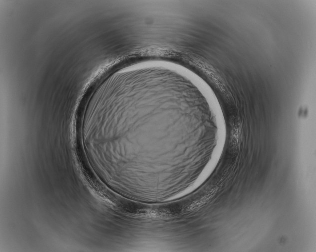 X0000098050678200804181324