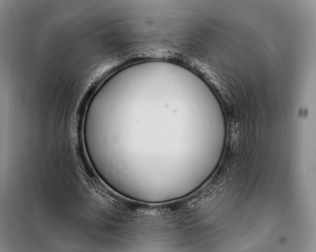 X0000098050679200804181324