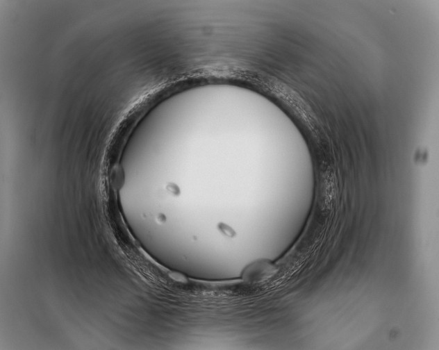 X0000098050680200804181324