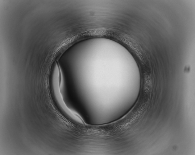 X0000098050681200804181324