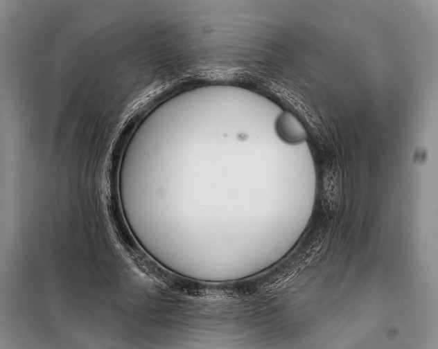 X0000098050682200804181324