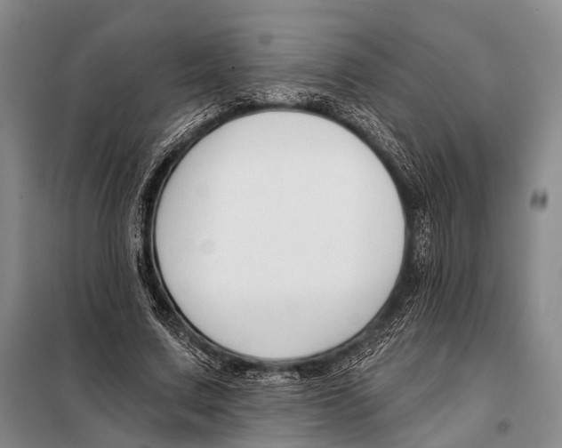 X0000098050683200804181324