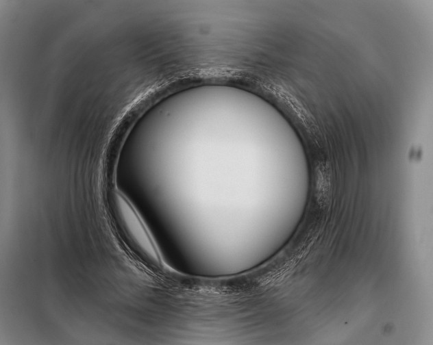 X0000098050684200804181324