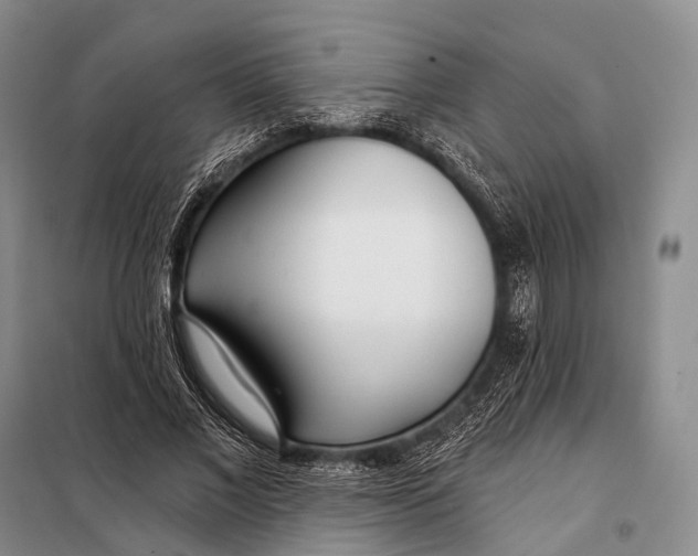 X0000098050685200804181324