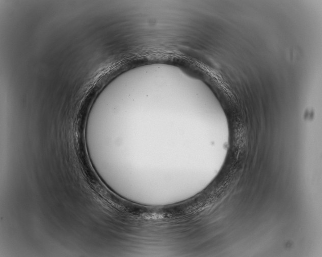 X0000098050687200804181324