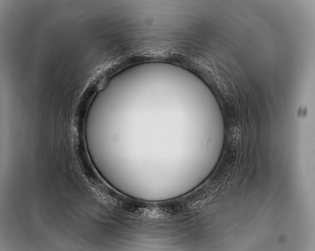 X0000098050688200804181324