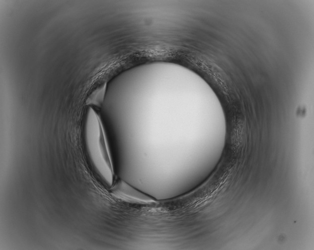 X0000098050689200804181324