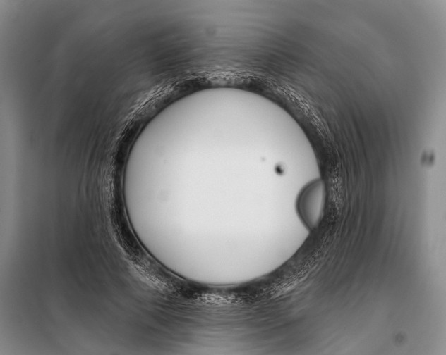 X0000098050690200804181324