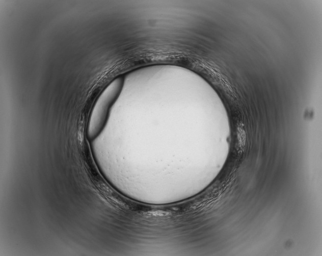 X0000098050691200804181324