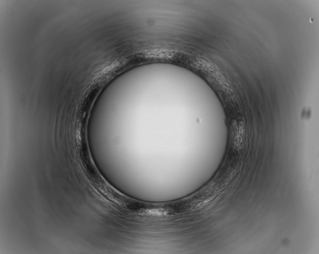 X0000098050692200804181324