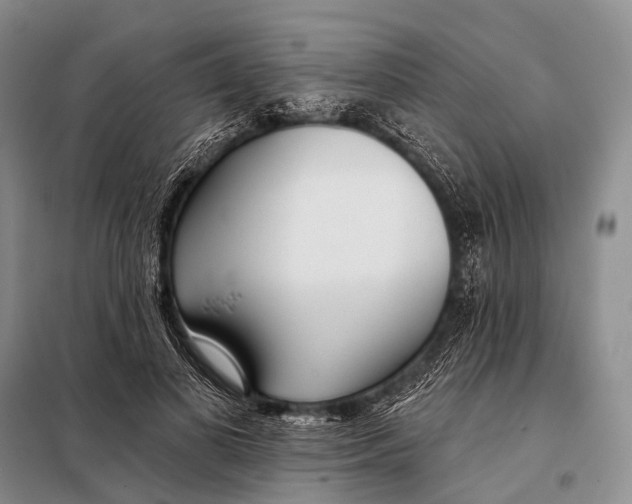 X0000098050693200804181324