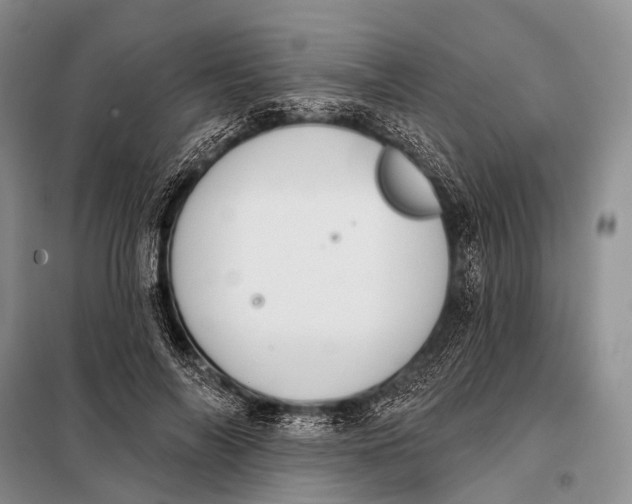 X0000098050694200804181324