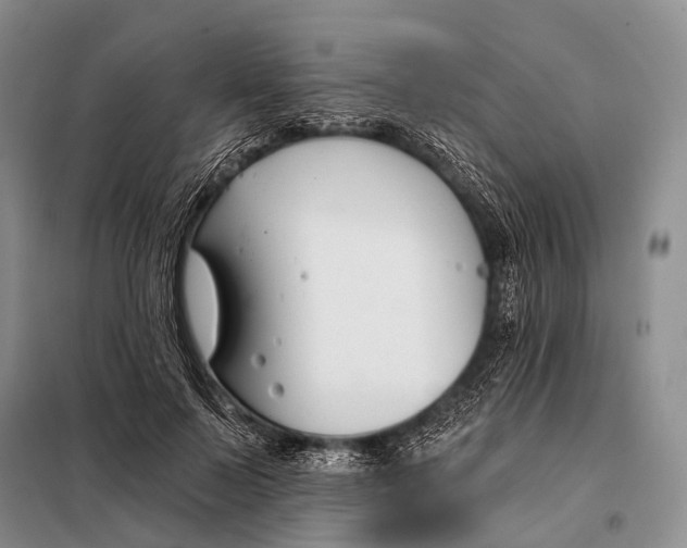 X0000098050695200804181324